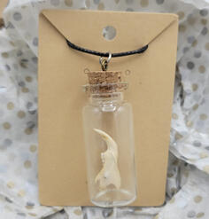 Rat Jaw w/ Incisor Necklace
