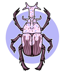 Candy Rhino Beetle